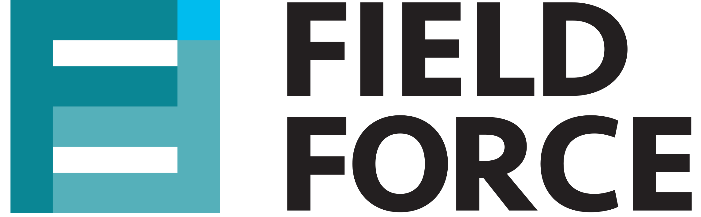 Field Force Inspections